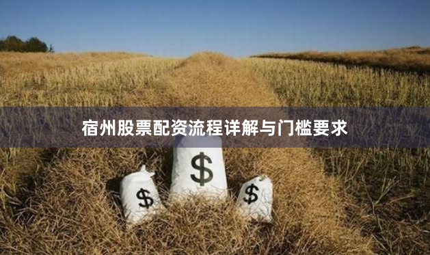 宿州股票配资流程详解与门槛要求
